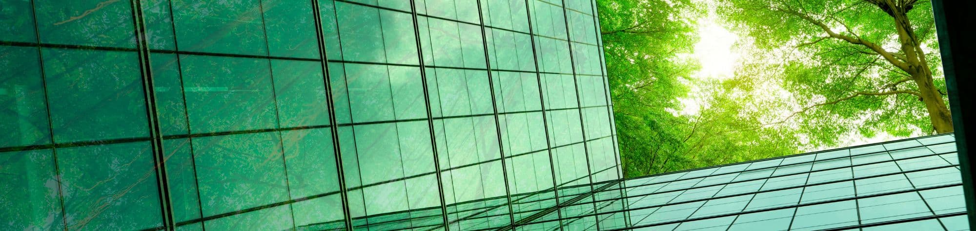 What is 'Green Building' and Its Benefits: Sustainable Construction Practices