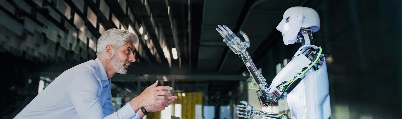 What you need to know about artificial intelligence (AI)!