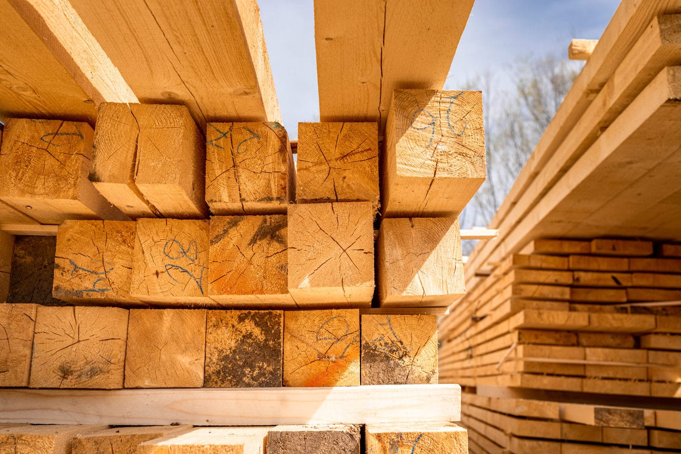 Kehrtwende in der Architektur: Wie krümmt sich Holz von selbst?